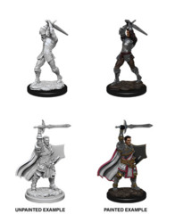 DND UNPAINTED MINIS WV12 MALE HUMAN PALADIN